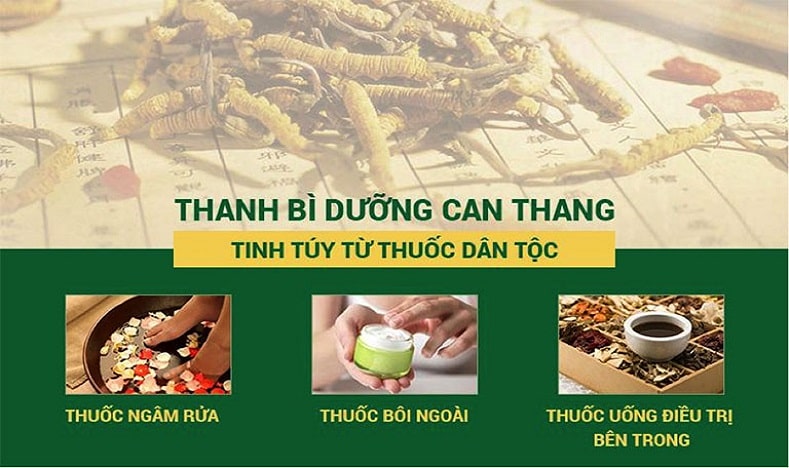 Cơ chế " Ngoại ẩm - trong đồ" của bài thuốc 