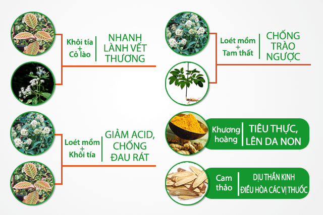 Sự kết hợp đặc biệt về thành phần dược liệu đã đem đến công hiệu điều trị trào ngược cao