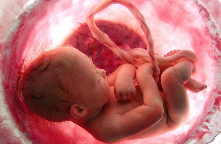 U xơ tử cung khi mang thai có nguy hiểm không?