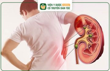 Ghép Tế Bào Gốc Chữa Suy Thận: Quy Trình Và Chi Phí Thực Hiện