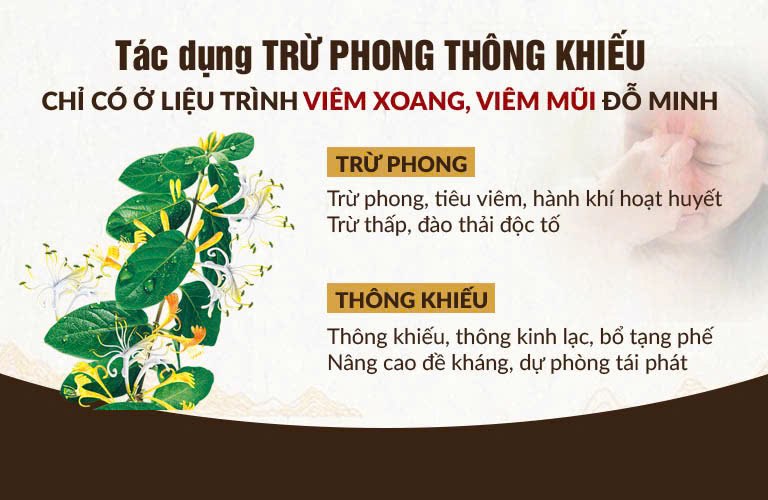 Cơ chế bài thuốc Viêm Xoang Viêm Mũi Đỗ Minh Đường
