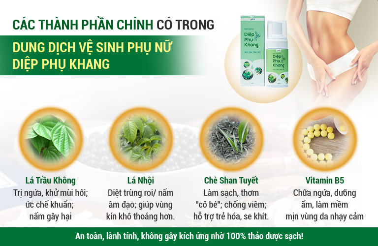 Thành phần chính có trong dung dịch vệ sinh Diệp Phụ Khang