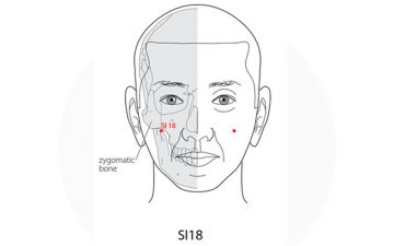 Tìm Hiểu Huyệt Quyền Liêu Và Phương Pháp Bấm Huyệt Trị Bệnh