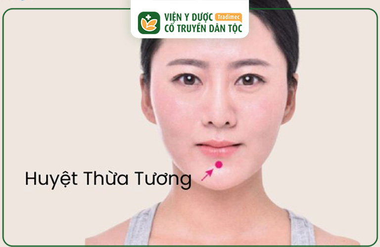 Huyệt Thừa Tương là một trong những huyệt đạo quan trọng trong hệ thống kinh mạch