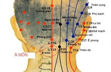 Huyệt Á Môn là một trong 108 huyệt đạo trên cơ thể