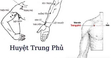 Huyệt Trung Phủ Nằm Ở Đâu? Hướng Dẫn Tác Động Chữa Bệnh