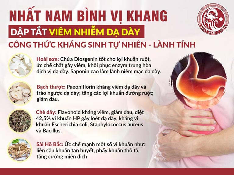 Nhóm thảo dược có khả năng tiêu diệt vi khuẩn HP, chống viêm