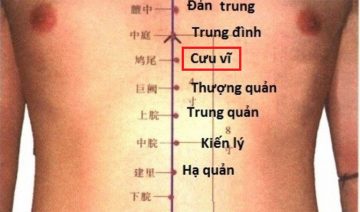 Vị Trí Huyệt Cưu Vĩ Ở Đâu? Tìm Hiểu Tác Dụng Và Cách Khai Thông Trị Bệnh