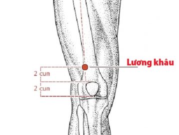 Huyệt Lương Khâu Nằm Ở Đâu? Công Dụng Và Cách Bấm Huyệt