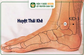 Huyệt Thái Khê Là Gì? Công Dụng, Cách Châm Cứu Bấm Huyệt