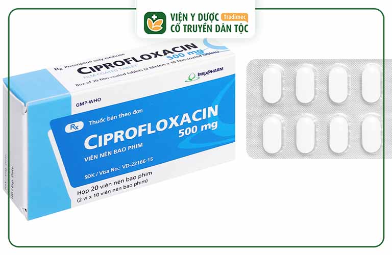 Ciprofloxacin được sử dụng để điều trị viêm tai 