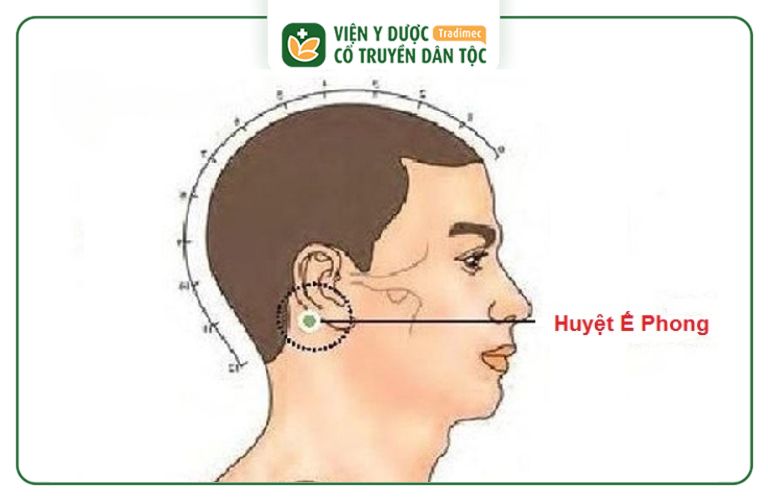 Nhiều quan điểm khẳng định huyệt Dương Minh chính là huyệt Ế Phong