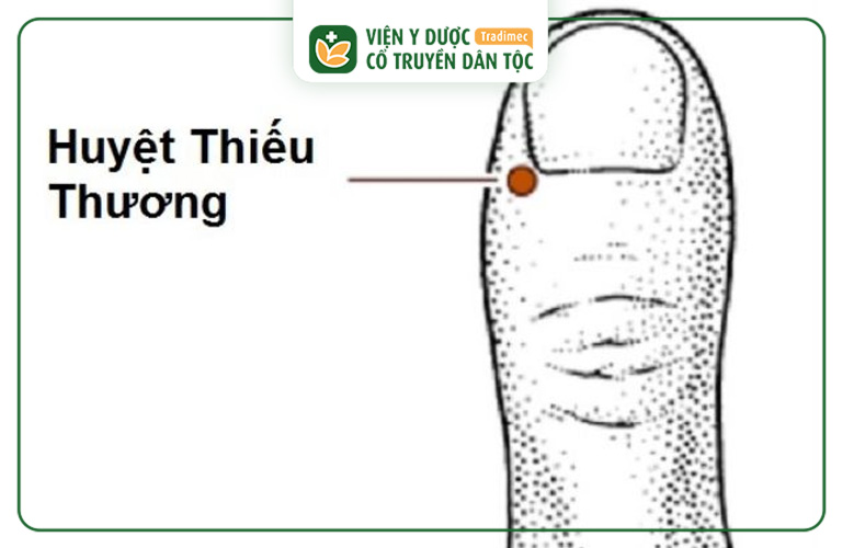 Huyệt Thiếu Thương là huyệt đạo quan trọng