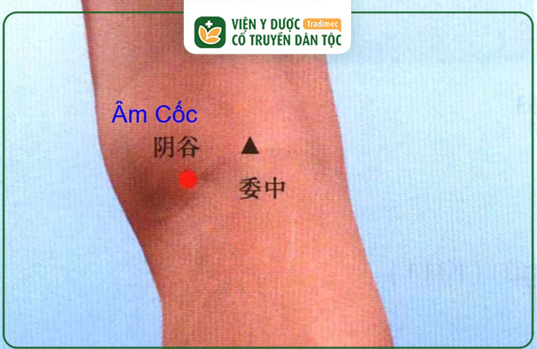 Huyệt đạo này có tác dụng giảm đau hiệu quả