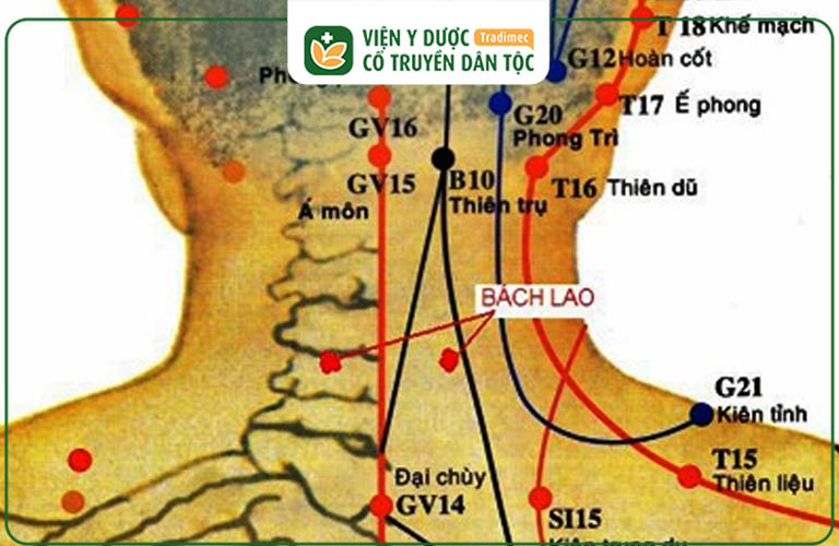 Huyệt Bách Lao có nhiều tác dụng cho sức khỏe