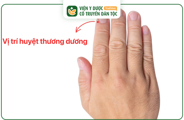 Huyệt Thương Dương là huyệt đạo quan trọng của Y học cổ truyền