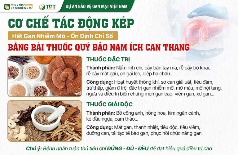 Bảo nam Ích can thang sử dụng cơ chế kép, điều trị gan nhiễm mỡ từ gốc