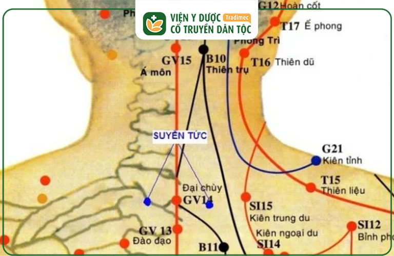 Huyệt Định Suyễn có nhiều vai trò trong Đông y