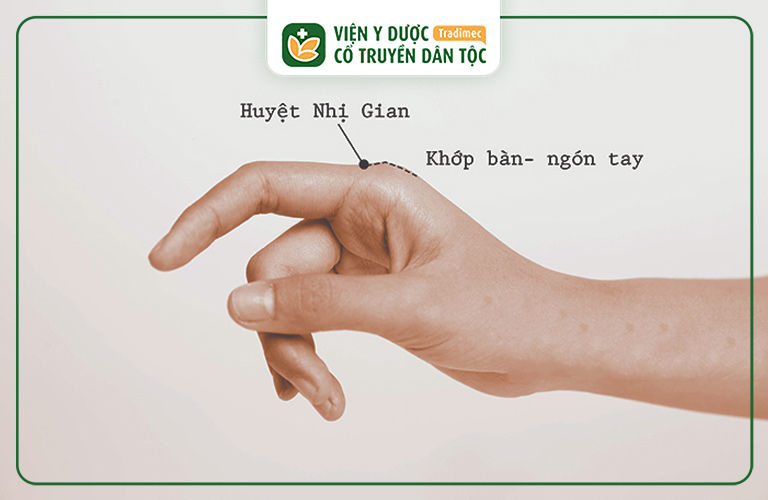 Hình ảnh minh họa huyệt Nhị Gian