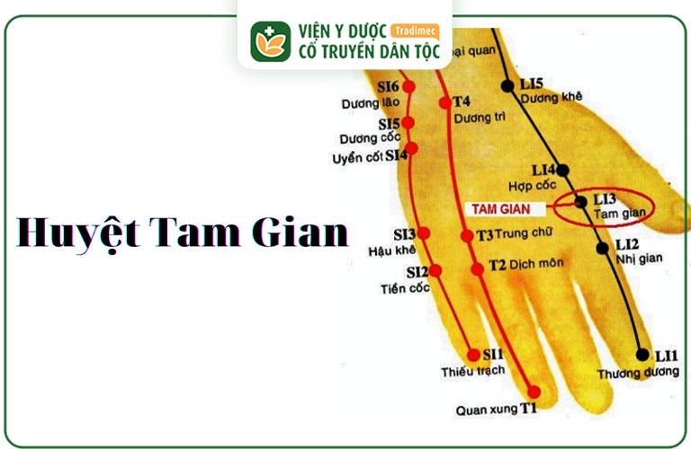 Vị trí huyệt Tam Gian trên cơ thể