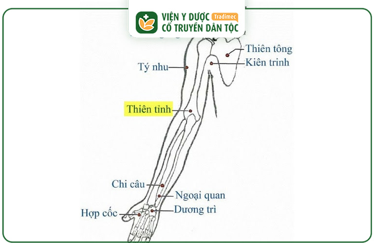 Bấm huyệt Thiên Tỉnh mang đến nhiều lợi ích cho sức khỏe