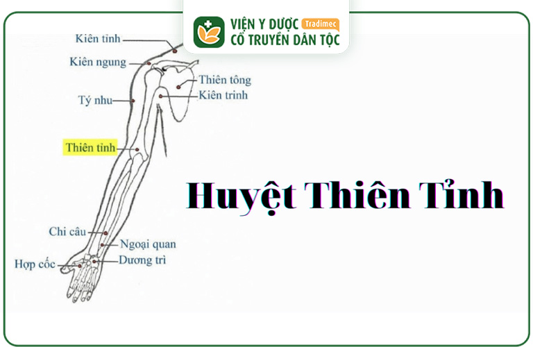 Huyệt Thiên Tỉnh là một huyệt đạo quan trọng của cơ thể