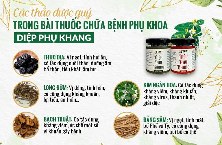 Thành phần dược liệu Diệp Phụ Khang chữa bệnh phụ khoa