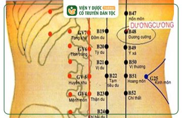 Huyệt Dương Cương: Cách Xác Định và Kỹ Thuật Bấm Huyệt