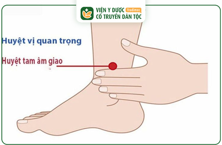 Vị trí của huyệt Tam Âm Giao trên cơ thể