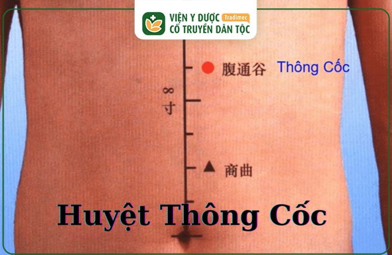 Huyệt đạo này nằm ở vùng bụng, giúp điều hòa chức năng gan mật