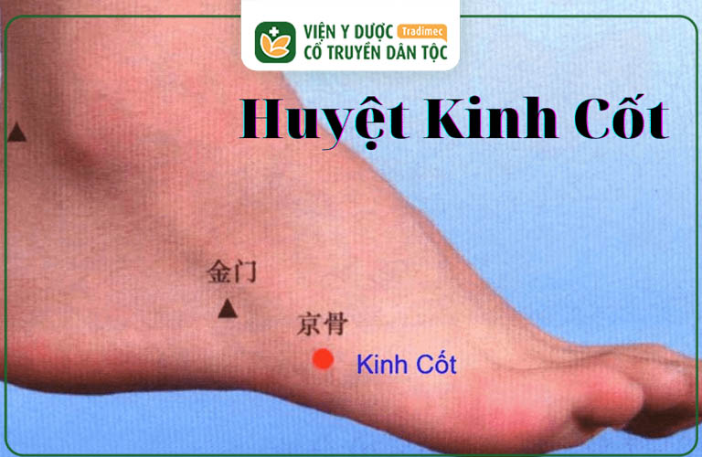 Vị trí của huyệt Kinh Cốt