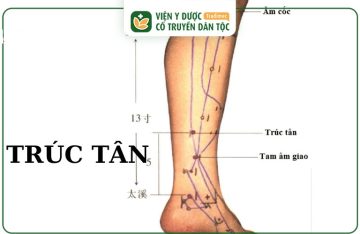 Huyệt Trúc Tân Là Gì? Vị Trí Và Tác Dụng Đối Với Sức Khỏe