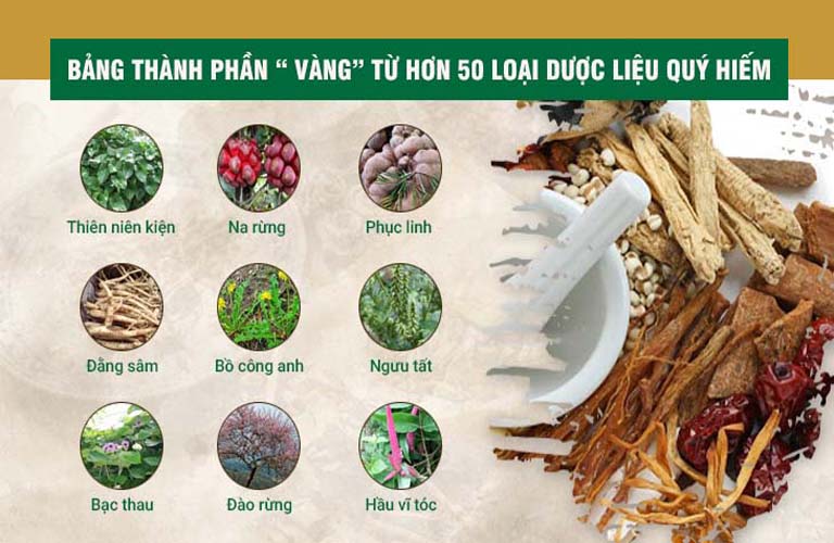 Bài thuốc kết hợp nhiều vị thuốc quý, dược liệu sạch