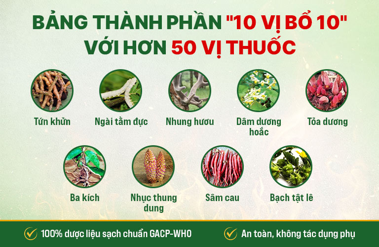 Bảng thành phần bài thuốc Mãnh lực Phục dương khang