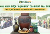 Giải Mã Bí Dược “Dựng Lên” Hoàn Thiện Mãnh Lực Phục Dương Khang - Hạ Gục Rối Loạn Cương Dương