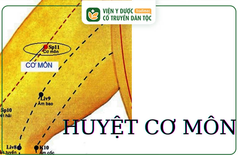 Vị trí của huyệt đạo trên cơ thể