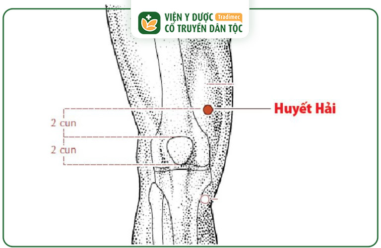 Vị trí Huyết Hải huyệt trên cơ thể