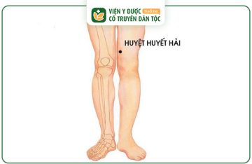 Huyệt Huyết Hải: Vị trí, Công Dụng Và Hướng Dẫn Bấm Huyệt