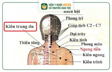 Huyệt Kiên Trung Du: Vị Trí, Cách Tác Động, Công Dụng Trị Bệnh