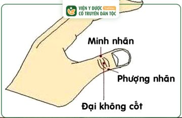 Huyệt Minh Nhãn: Vị Trí, Công Dụng, Cách Châm Cứu Bấm Huyệt