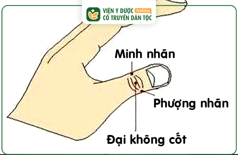 Vị trí của huyệt đạo trên ngón tay