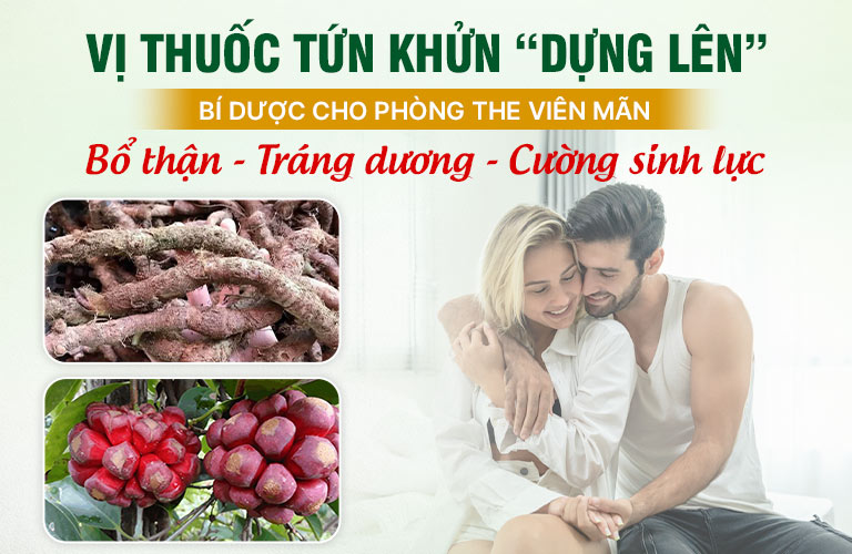 Vị thuốc Tứn khửn tăng cường sinh lý nam