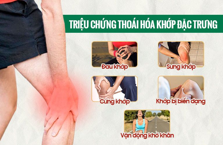 Triệu chứng thoái hóa khớp thường gặp