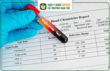 Định Lượng Triglyceride Cao Có Nguy Hiểm Không? Giải Đáp