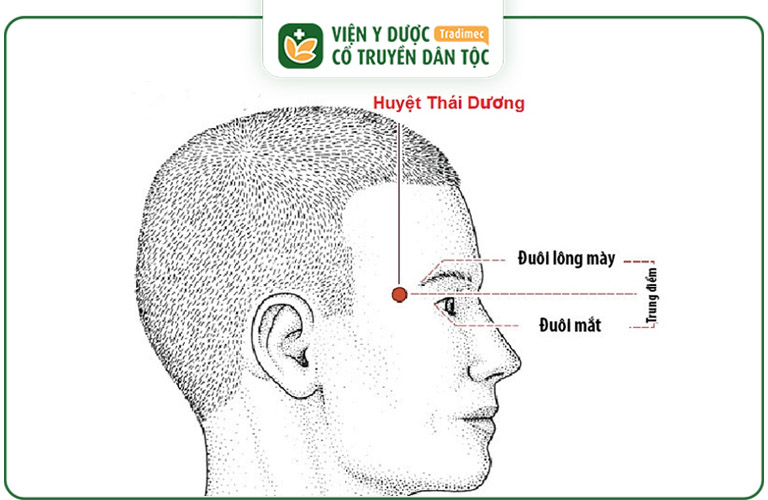 Vị trí của huyệt Thái Dương trên cơ thể