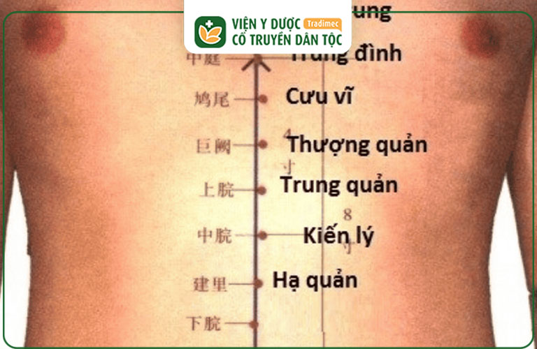 Vị trí của Huyệt Thượng Quản trên cơ thể