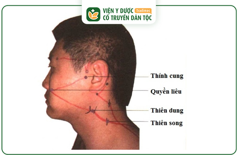 Vị trí của huyệt Thiên Dung