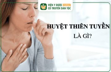 Huyệt Thiên Tuyền: Vị Trí, Công Dụng, Cách Tác Động Hiệu Quả