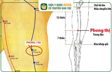 Huyệt Trung Độc: Vị Trí, Tác Dụng Và Cách Châm Cứu Hiệu Quả