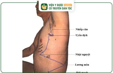 Huyệt Uyên Dịch: Vị Trí, Tác Dụng Và Cách Châm Cứu Hiệu Quả